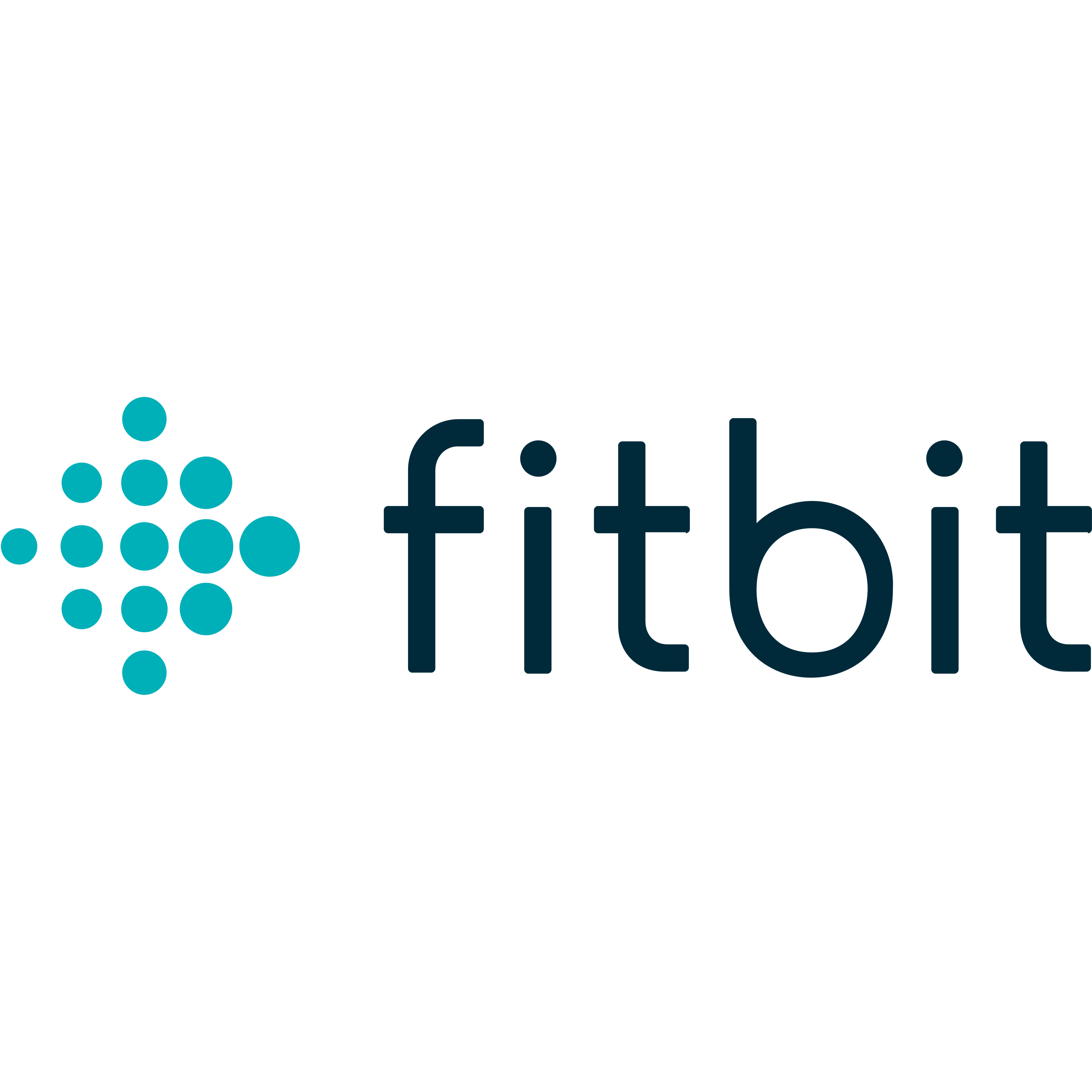 fitbitoutlet.shop favicon