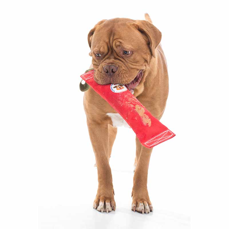 Aussie Dog Fetch‑It Large – Durable Dog Fetch Toy