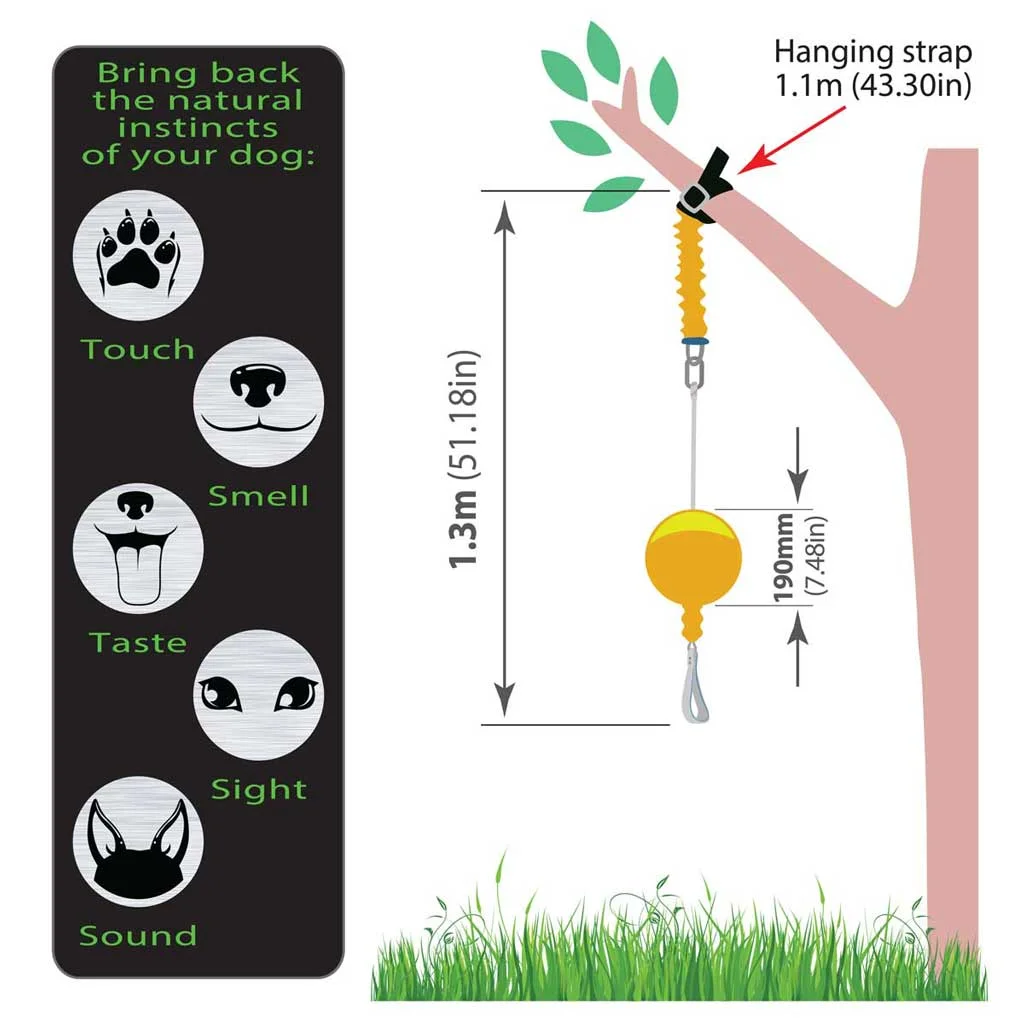 Aussie Dog Home Alone XL – Interactive Bungee Dog Toy