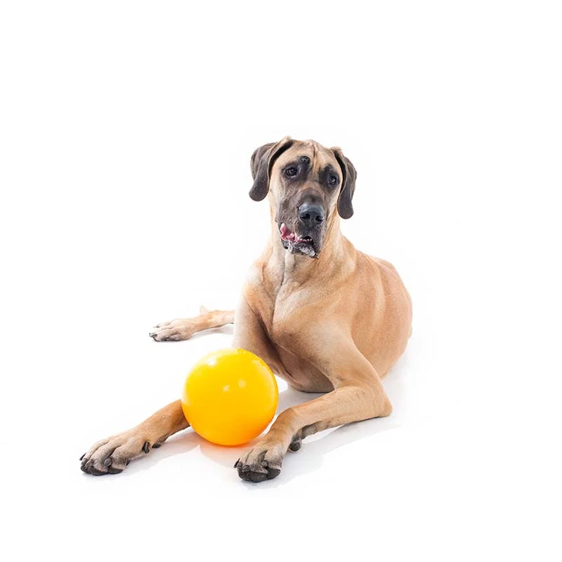 Aussie Dog Tucker Ball Large – Durable Treat Dispensing Toy