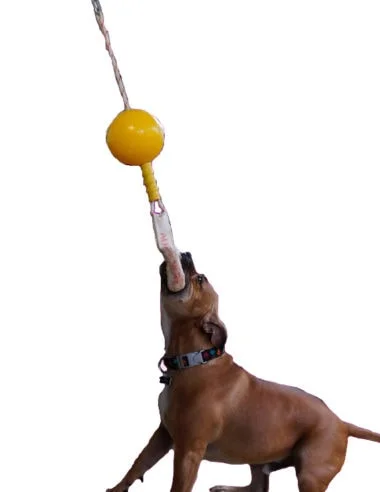 Aussie Dog Home Alone Medium – Interactive Bungee Dog Toy