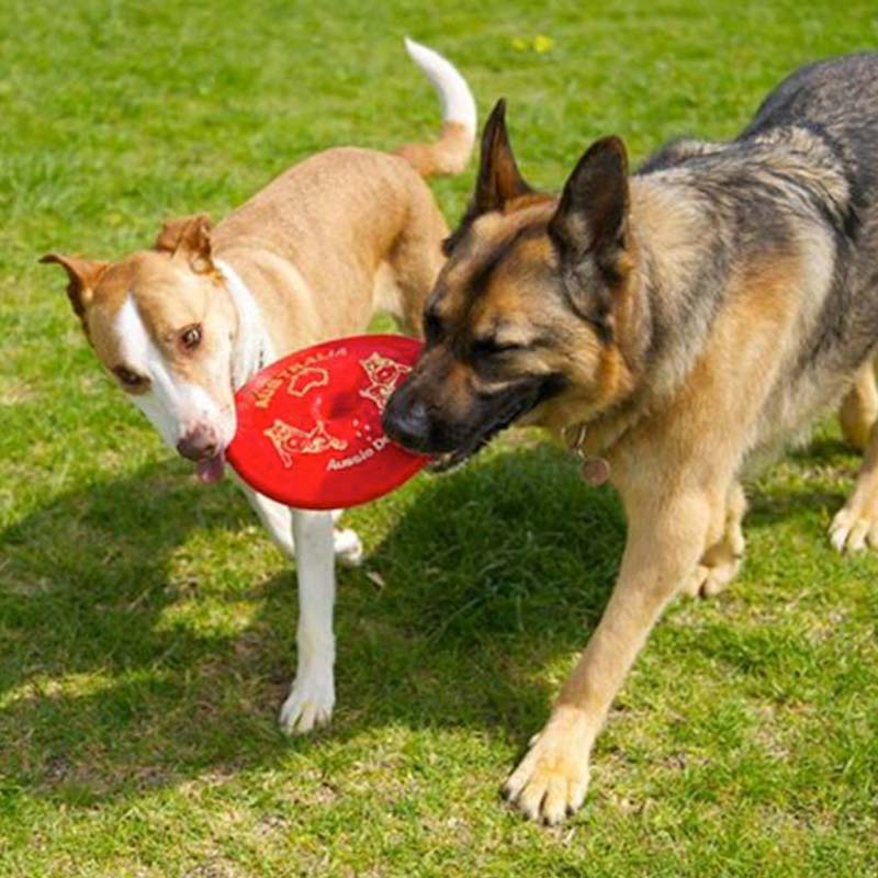 Aussie Dog Fly‑It Red – Durable Dog Frisbee Toy