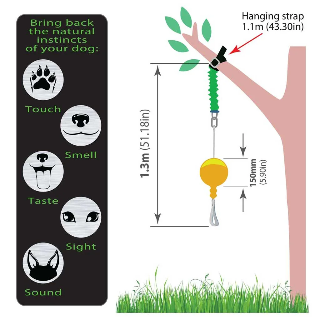 Aussie Dog Home Alone Medium – Interactive Bungee Dog Toy