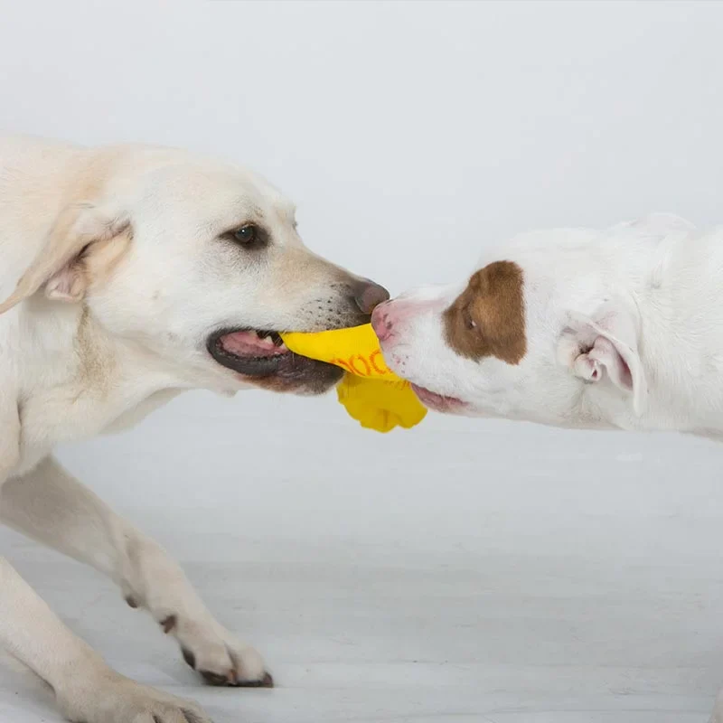 Aussie Dog Pull‑It Large – Durable Tug Toy for Dogs