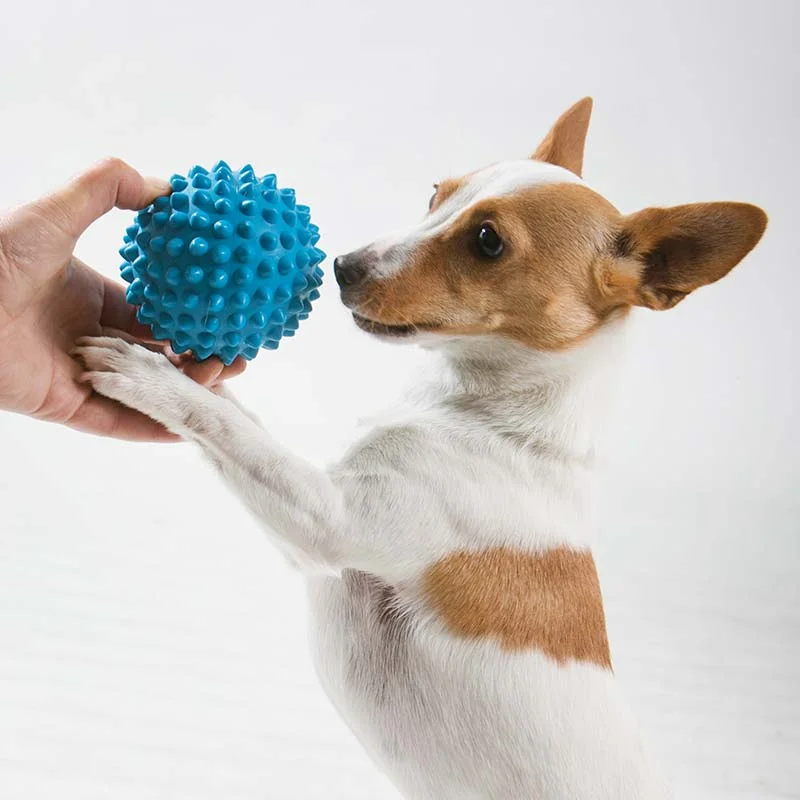 Aussie Dog Puppy Pack Mini – Durable Toys for Small Puppies