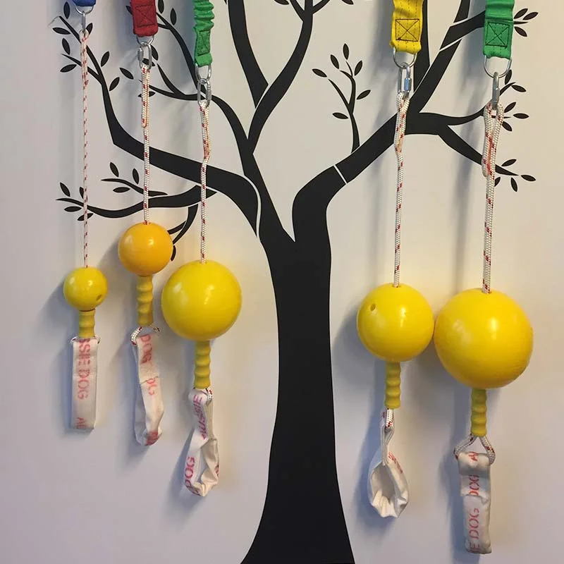 Aussie Dog Home Alone Large – Interactive Bungee Dog Toy