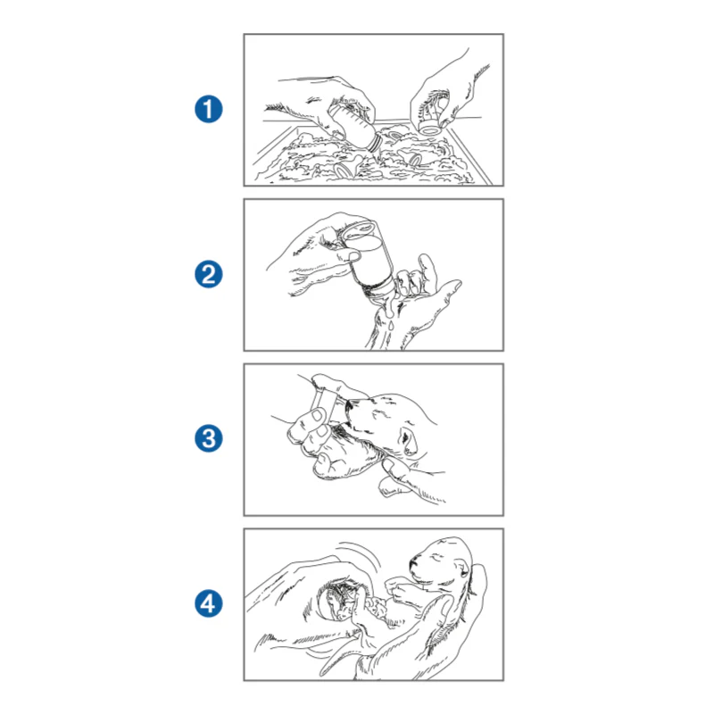 Trixie Pet Nursing Kit For Newborn Puppies & Kittens