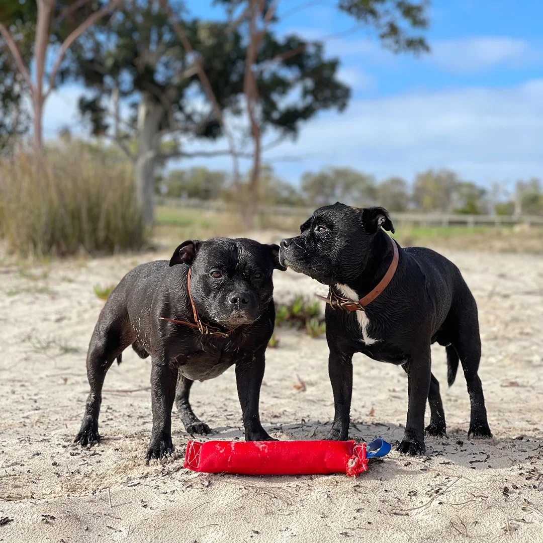 Aussie Dog Fetch‑It Large – Durable Dog Fetch Toy