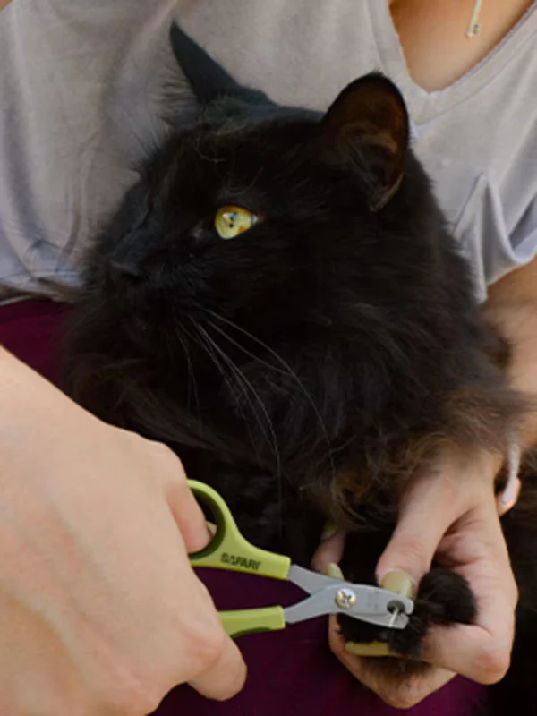 Cat Nail Trimmer - Deluxe