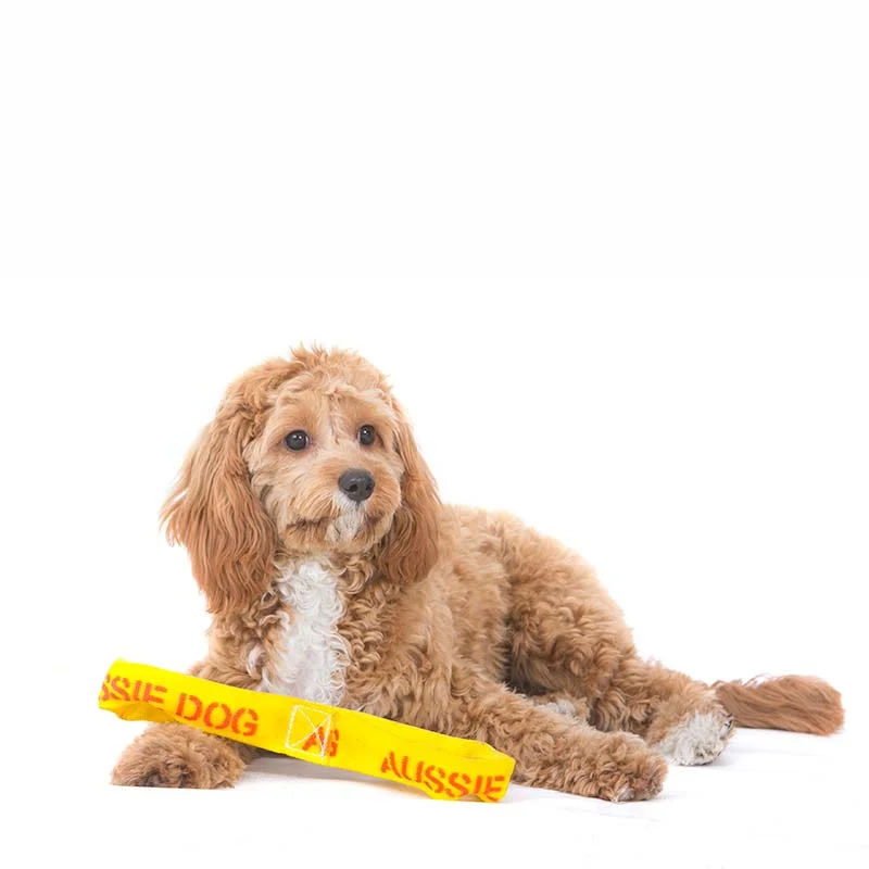 Aussie Dog Puppy Pack Mini – Durable Toys for Small Puppies