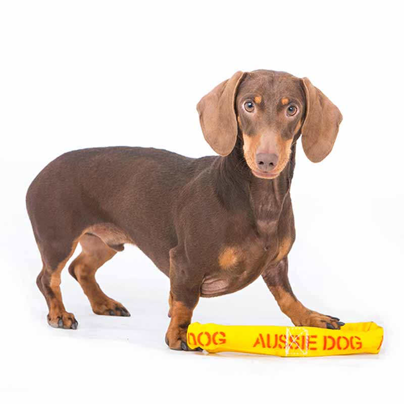 Aussie Dog Pull‑It Small – Durable Tug Toy for Small Dogs