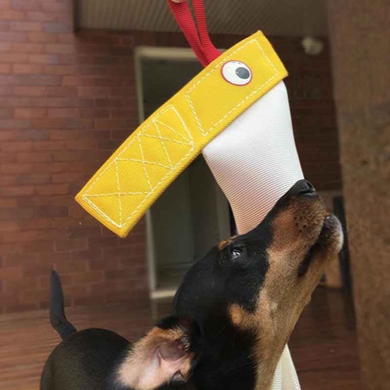 Aussie Dog Bungee Chook – Tough Outdoor Tug Toy