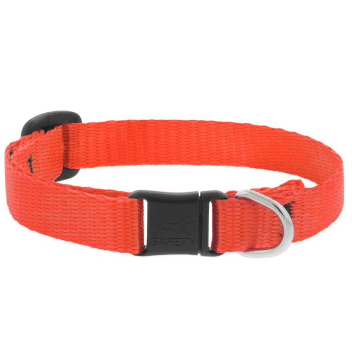 Nylon Cat Collar