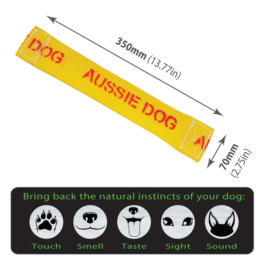 Aussie Dog Get‑It Small – Durable Floating Fetch Toy