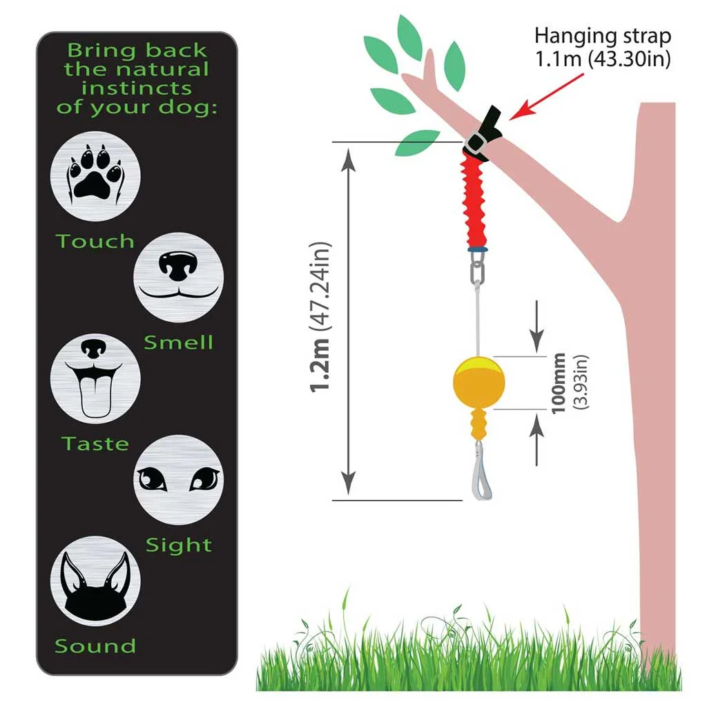 Aussie Dog Home Alone Small – Interactive Bungee Dog Toy