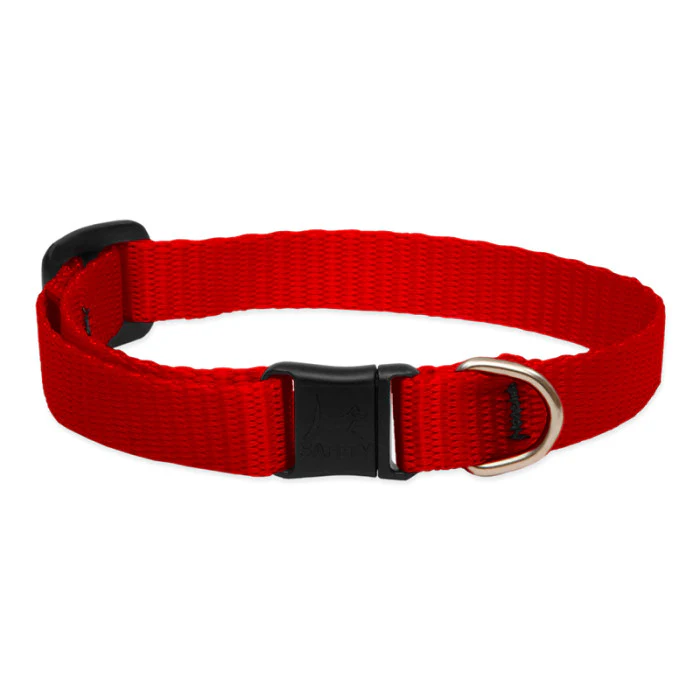 Nylon Cat Collar