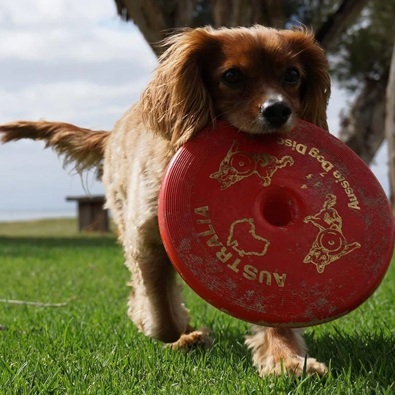 Aussie Dog Fly‑It Red – Durable Dog Frisbee Toy