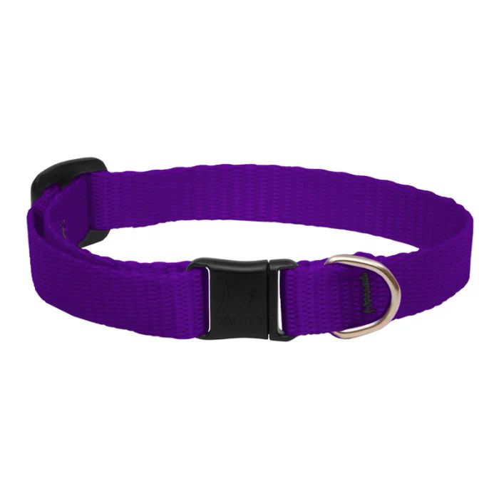 Nylon Cat Collar