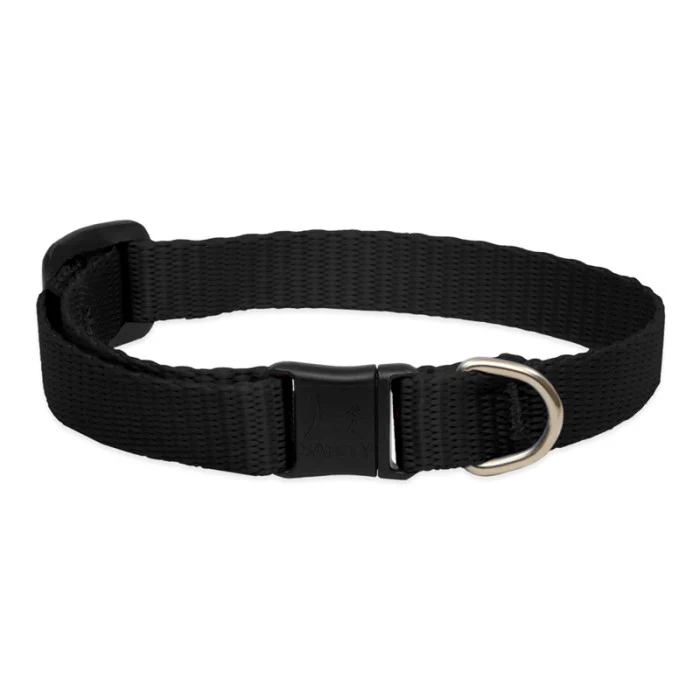 Nylon Cat Collar