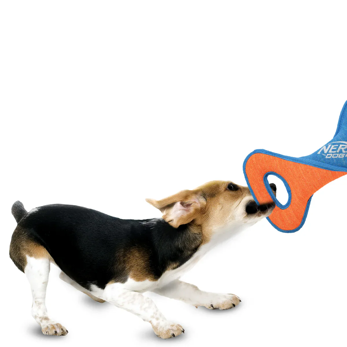 Nerf Dog - X Weave Infinity Twist Tug