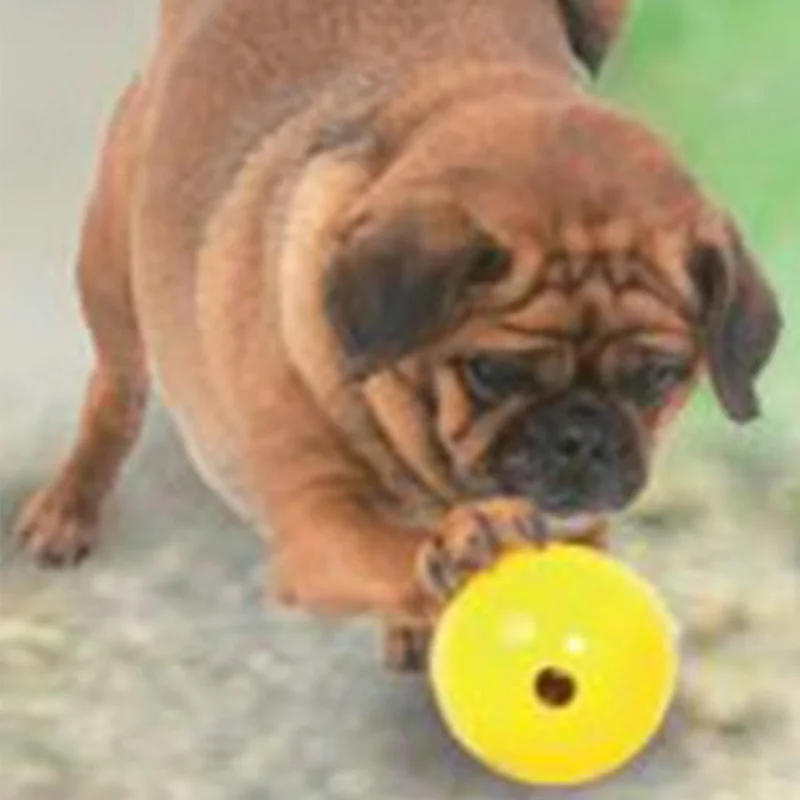 Aussie Dog Tucker Ball Mini – Treat Dispensing Dog Toy