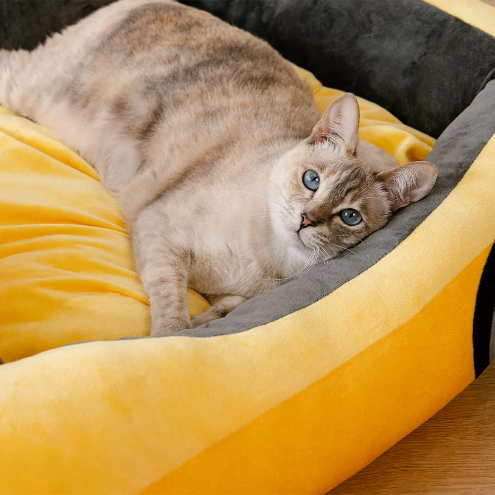 Classic Convertible Race Car Bolster Cat Bed - Fast��Fur