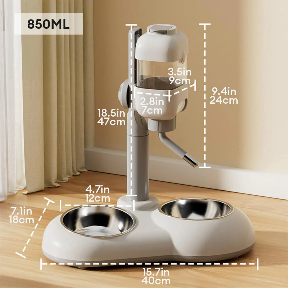 Pet Feeding Bowl Station Food Dispenser With Automatic Water